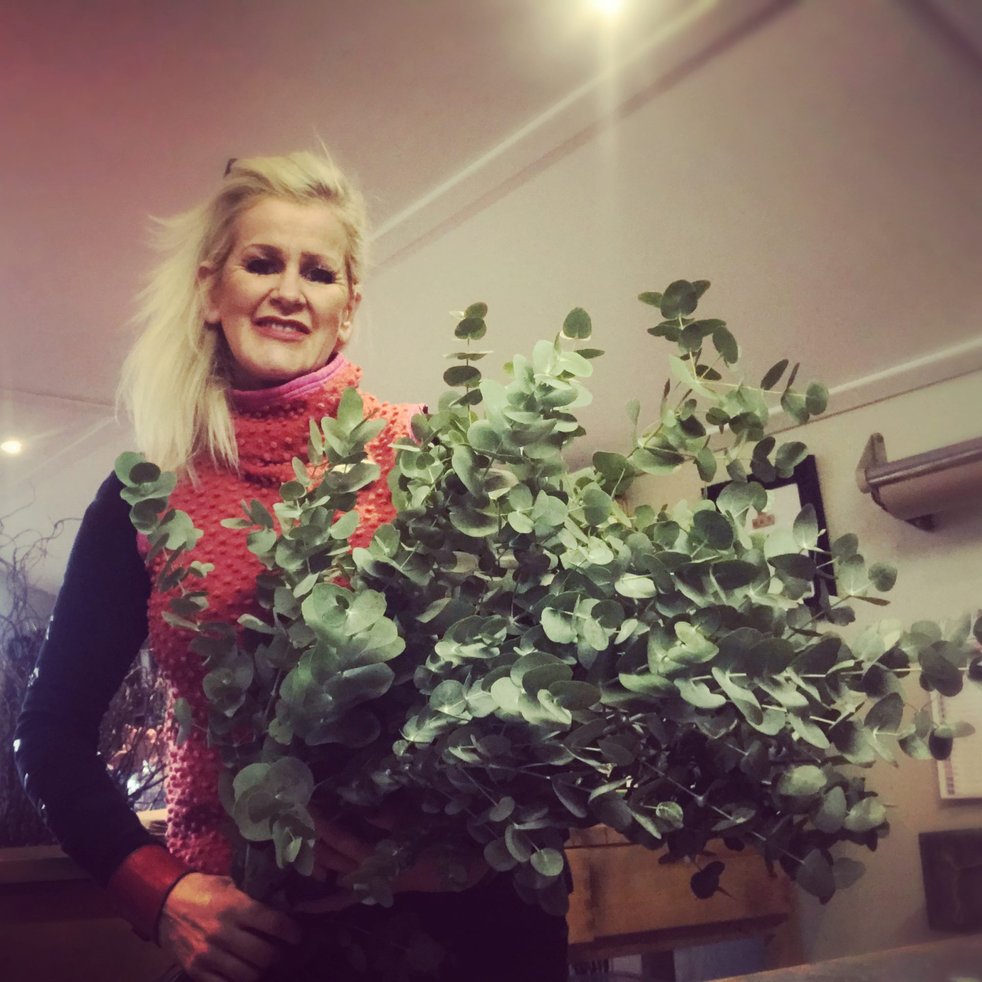 About Us Passion Flowers Of Dumfries